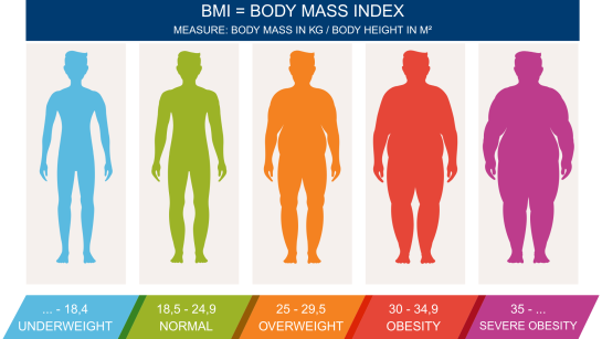 Measure and scale of the body mass index